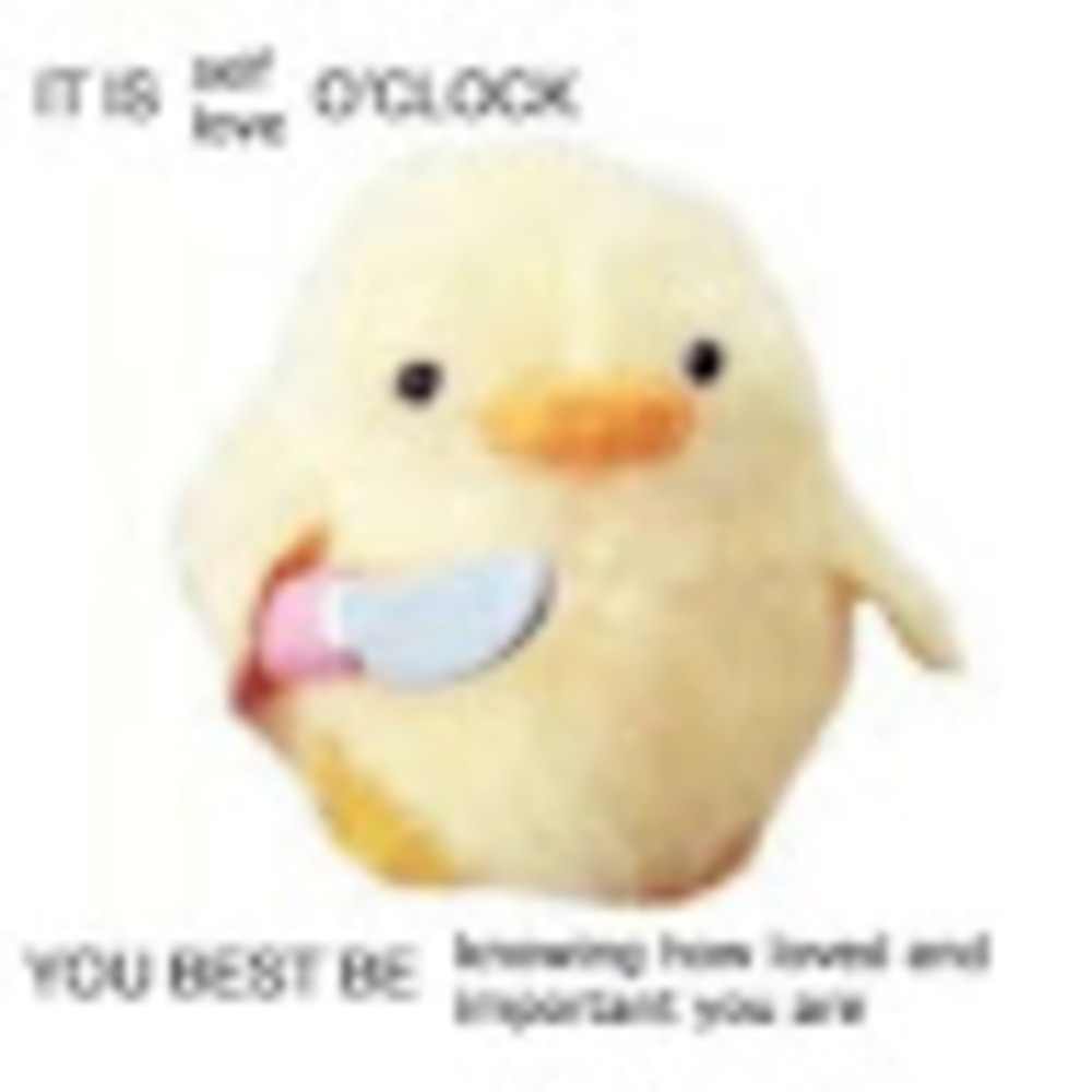 Meet your Posher, Safiya